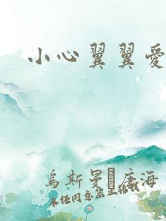 小心翼翼爱上你