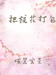 把校花打包带走