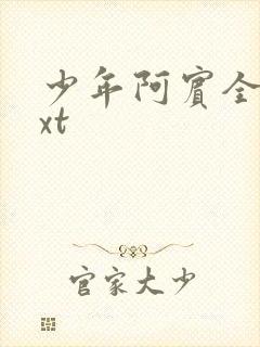 少年阿宾全集txt