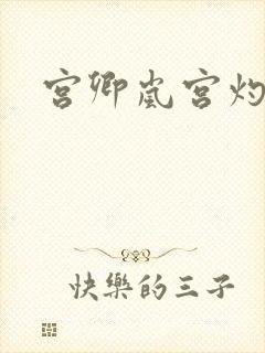 宫卿岚宫灼小说