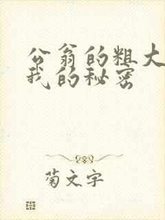 公翁的粗大放进我的秘密