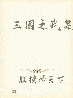 三国之我是华雄