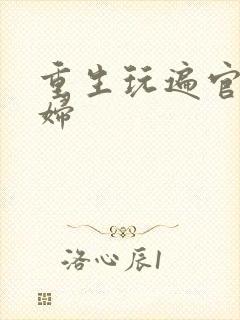 重生玩遍官场贵妇