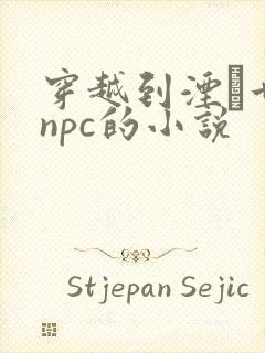 穿越到湮婸世界npc的小说