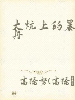 大炕上的暴伦小丹