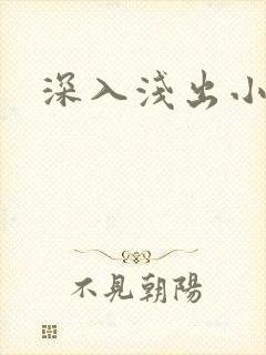 深入浅出小说