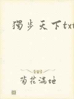 独步天下txt