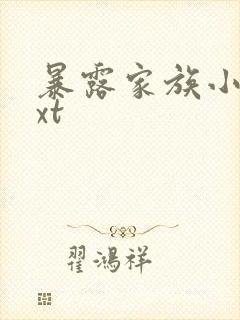 暴露家族小说txt