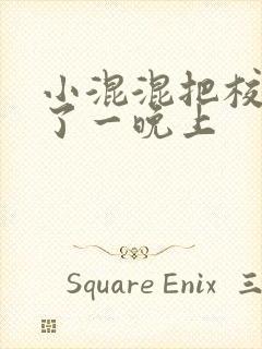 小混混把校草C了一晚上