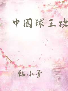 中国球王攻略