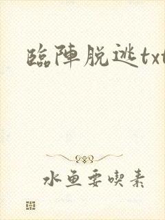 临阵脱逃txt