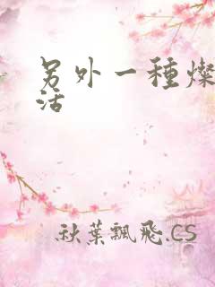 另外一种灿烂生活