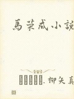 马荣成小说
