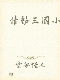情动三国小说