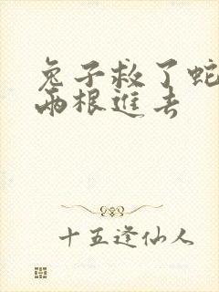 兔子救了蛇被蛇两根进去