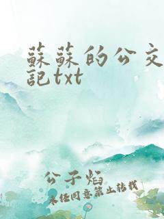 苏苏的公交车日记txt