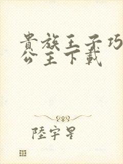 贵族王子巧遇穷公主下载