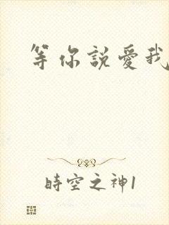 等你说爱我小说