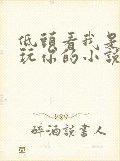 低头看我是怎么玩你的小说