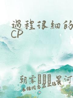 过程很细的开车CP