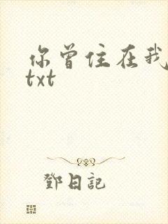 你曾住在我心上txt