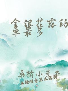 金银花露的哪个车最多