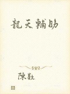 龙天辅助