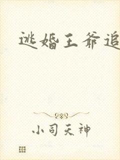 逃婚王爷追逃妃