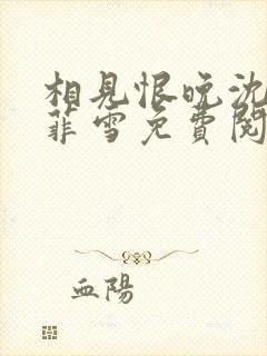 相见恨晚沈浩秦菲雪免费阅读