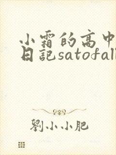 小霜的高中成长日记satofall