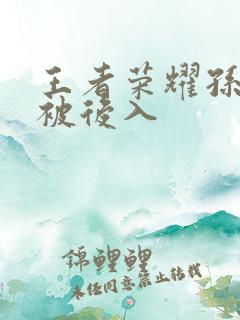 王者荣耀孙尚香被后入