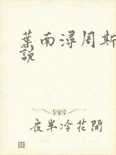 叶南浔周斯年小说