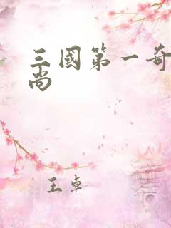 三国第一奇兵袁尚