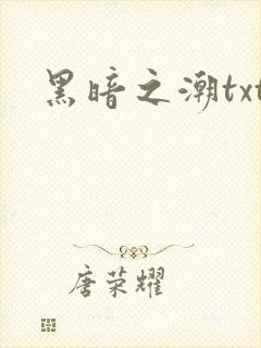 黑暗之潮txt