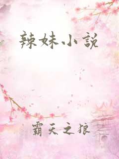 辣妹小说