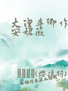 大理寺卿作者:安妮薇