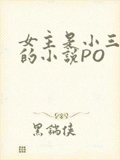 女主是小三很婊的小说PO