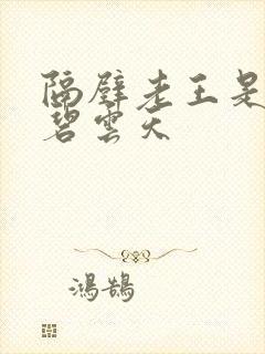 隔壁老王是皇帝碧云天