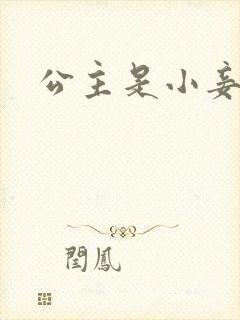 公主是小妾