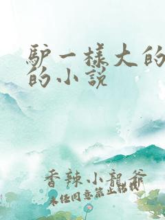 驴一样大的凶器的小说