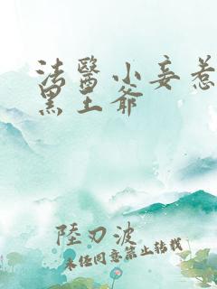 法医小妾惹上腹黑王爷