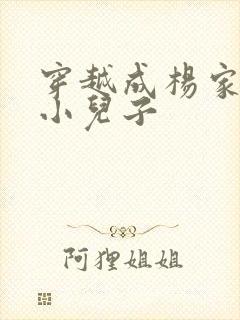 穿越成杨家将最小儿子