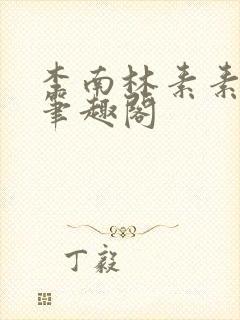 李南林素素小说笔趣阁