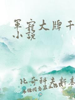 军宠大牌千金 小说
