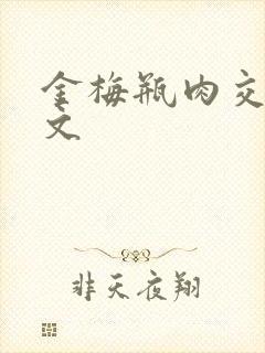 金梅瓶肉交白话文