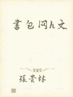 书包网h文