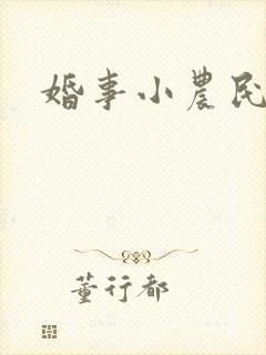婚事小农民