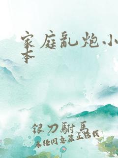 家庭乱炮小说全本