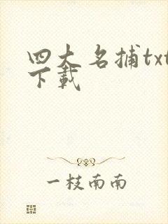四大名捕txt下载