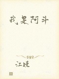 我是阿斗